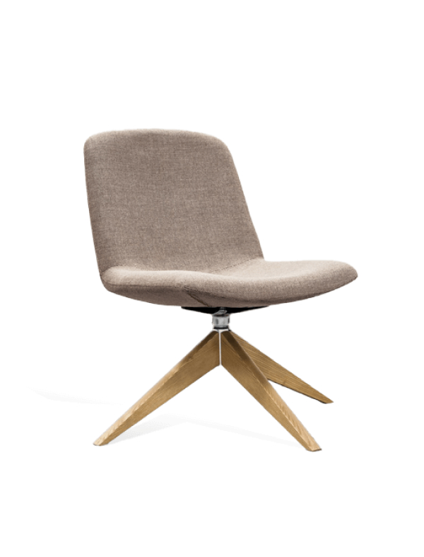 Armchair Black in Wood